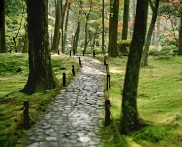 West Bank river path