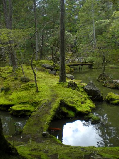 A narrow log bridge