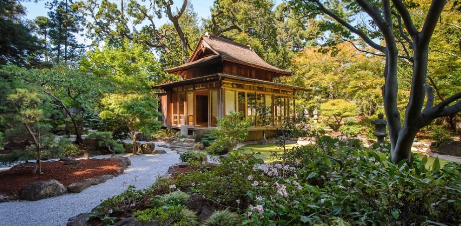 Teahouse... of the Soul?